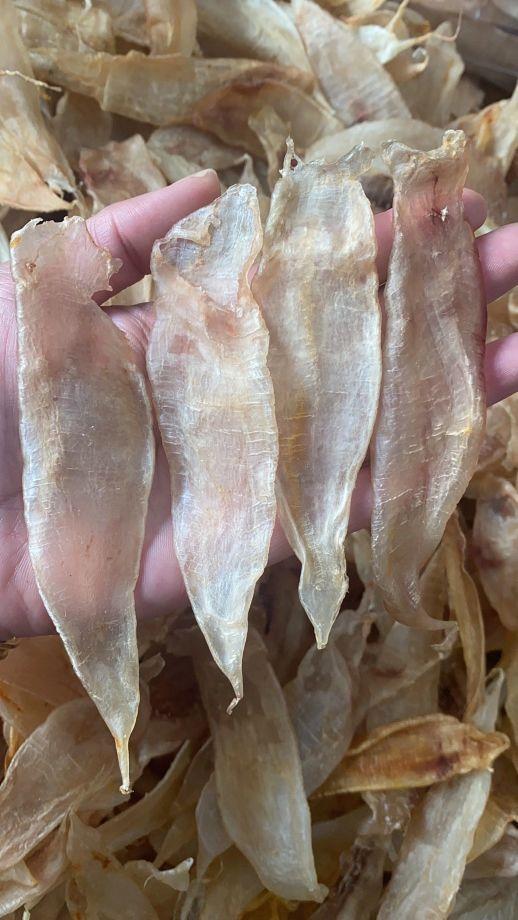 花胶的大小 2026年花胶的大小跟营养有关系吗