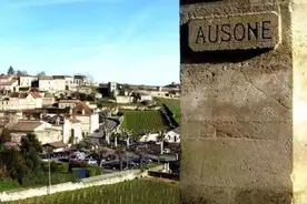 葡萄酒的分级系统和酒标解读第3课时图片