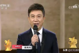 《感动中国》白岩松，3.15陈伟鸿，央视60后主持急需接班人图片