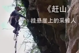 住在石洞的云南养蜂人，爬上60米高的悬崖采摘“软黄金”，纪录片图片