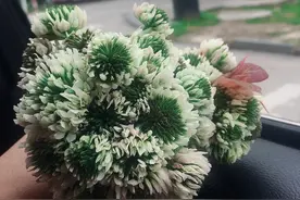 女人因疫情被困前夫家，20天后她问前夫：你能再娶俺一次吗？图片