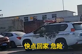 陕西一小车被蜜蜂包围，周围车主紧闭窗户，网友：开得“蜂”田？图片