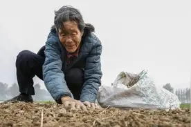 农村俗语“头发硬而粗，一生好辛苦”，啥意思？老话在理吗？图片