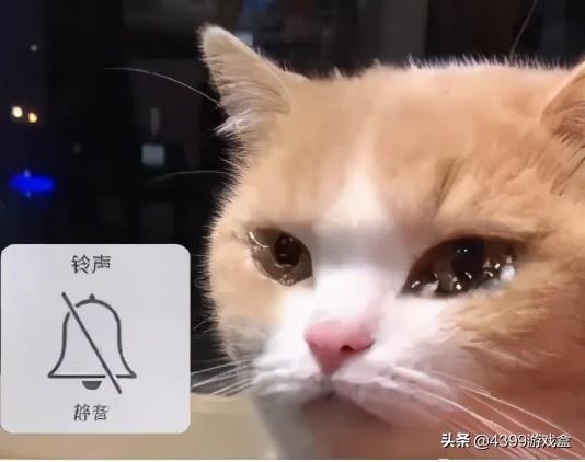 你是怎么玩恐怖游戏的？三句话带你认识恐怖游戏“正确”玩法