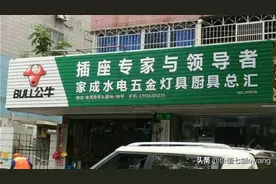 公牛集团（下）：从插线板之王到民用电工巨头图片