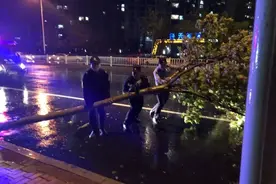 昨晚烟台的风到底有多大？这些画面格外暖图片