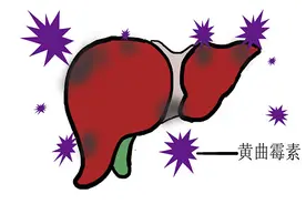 网传馒头放冰箱超过3天会滋生黄曲霉素，易致癌，不能吃？真假？图片