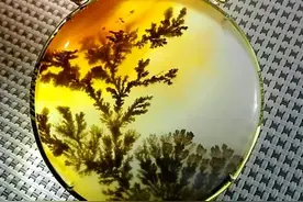 玛瑙之花一水草玛瑙图片
