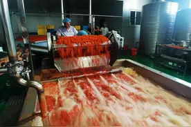 内蒙古首条枸杞原浆生产线在乌拉特前旗试产图片