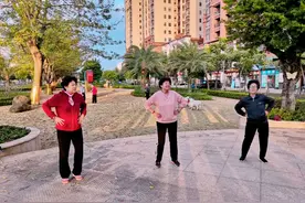 风向变了！东北老人开始从海南“逃离”，去了两广图片