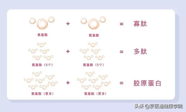 胶原蛋白粉是什么做的 2026年胶原蛋白粉是干什么用的 胶原蛋白粉是什么做的 2026年胶原蛋白粉是干什么用的