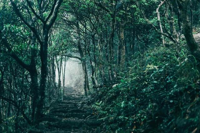 深圳值得征服的10座山，你去过几座？