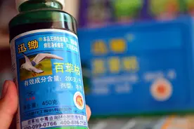 13岁河南女孩喝下百草枯，这是人们第一次希望买的是假药图片