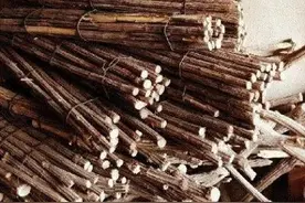 农村有1种杂树，农民把它当柴烧，殊不知价值比黄金还珍贵图片