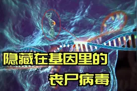蛋白质中的病毒？二十号染色体 基因中的“定时炸弹”？图片