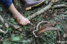 捕蛇人的命运图片