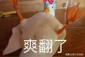 韩女团成员代言内衣被网友要求穿上展示！真想派欧阳娜娜怼死他们图片