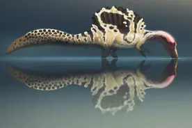 水下恐龙杀手的外形又有变化！尾巴像鳗鱼，嘴像白鹭图片