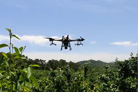 关于农业高科技“植保无人机”打药，你所不知道的利与弊图片