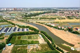 爱护母亲河：滏阳河曲周段生态修复工程进行时图片