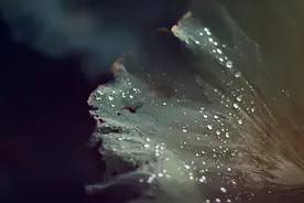 100句经典古诗词，读完提升一个境界！图片