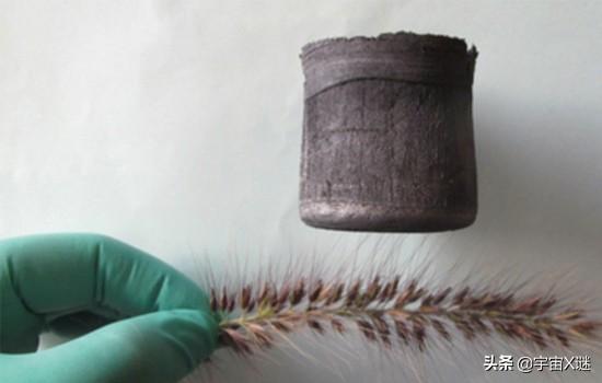 阿拉伯胶和明胶的区别 2026年阿拉伯胶和明胶的区别在哪