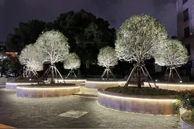 宝山夜景又“上新”，路口转角有惊喜图片