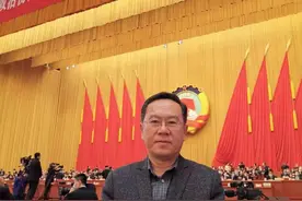 崔仑委员：打造3~4家国内大型铁矿石开发龙头企业图片