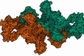 甲状腺癌术后最重要的指标图片