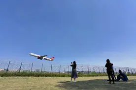 比空港花田更近 双流又添看飞机打卡点图片