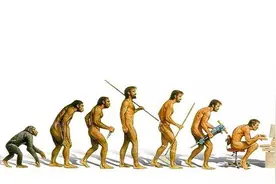 蝙蝠有剧毒，老鼠有鼠疫，为什么不想办法消灭？图片