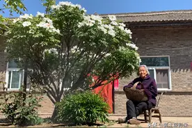 9旬奶奶30年前随手栽下的一棵牡丹花如今成了“树”，看长啥样子图片