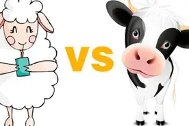 羊奶好还是牛奶好？营养医生这么一对比，大家就知道怎么选了图片