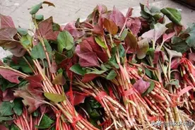 80%的中国人都无法接受的食物是什么？图片