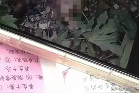 安徽淮北一职校女生宿舍楼下草丛发现婴儿，警方：正在调查图片