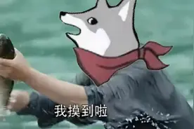 微信一口气更新了 12 个功能图片