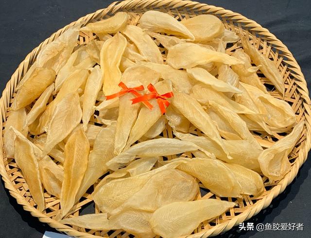 大口和豆仁鱼胶 2026年豆仁胶和大口鱼胶哪种好