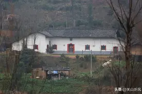 农村俗语：“五树不进宅，一家乐开怀”，指的是哪五树？图片