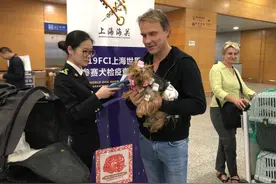 可以直接带“汪星人”入境了！海关宠物新政明起正式施行，你关心的问题这里有答案图片
