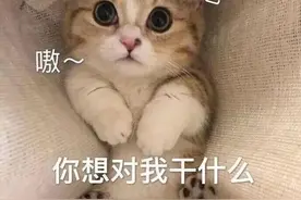 表情包｜我哭的时候，眼泪和兰州拉面一样图片