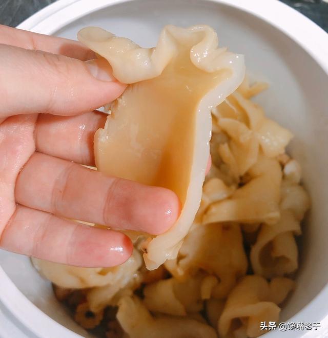 什么鱼的鱼鳔最好吃 2026年什么鱼的鱼鳔最好吃呢