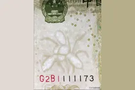 991大叶兰一张卖出2600元，如果你手上有可别贱卖了图片