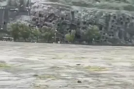 洛阳龙门石窟景区内伊河水位溢出河道图片