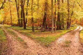 罗伯特.弗罗斯特《未选择的路》图片