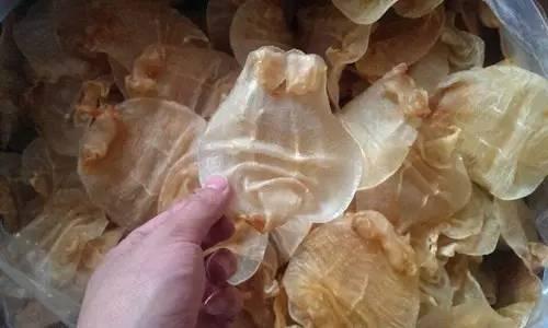 上等花胶的图片大全 上等花胶用什么鱼做的