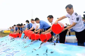 增殖放流，修复生态——300万尾“鱼宝宝”游进西江图片