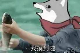 DNF韩国玩家上班摸鱼，半年搬出5000万？还把总部掀翻了？图片