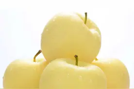 长武黄元帅苹果，大自然馈赠的精灵之果图片