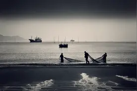 手机镜头的变焦拍摄功能，你真的用对了么？我不信图片