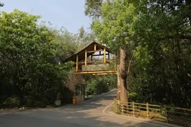 黄果树｜网上分时预约购票流程详解及入园注意事项图片